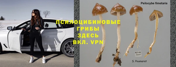 ПСИЛОЦИБИНОВЫЕ ГРИБЫ Балабаново