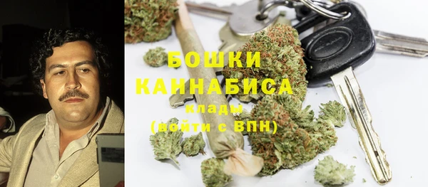 ПСИЛОЦИБИНОВЫЕ ГРИБЫ Балабаново