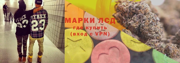 ПСИЛОЦИБИНОВЫЕ ГРИБЫ Балабаново