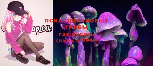 ПСИЛОЦИБИНОВЫЕ ГРИБЫ Балабаново