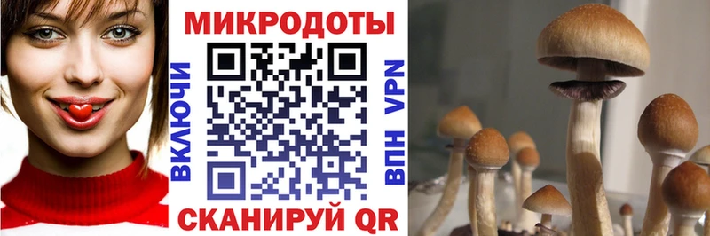 Псилоцибиновые грибы Magic Shrooms  магазин  наркотиков  Лермонтов 